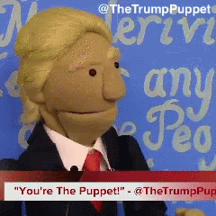 Trump The Trump Puppet GIF - Trump The Trump Puppet No GIFs