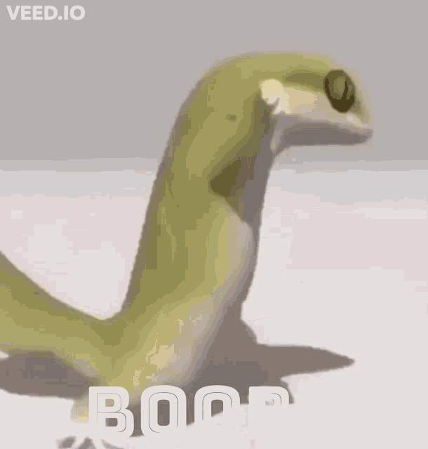 a picture of a snake with the words " boobs " on it