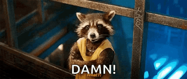 a raccoon wearing a yellow vest is standing in front of a sign that says damn