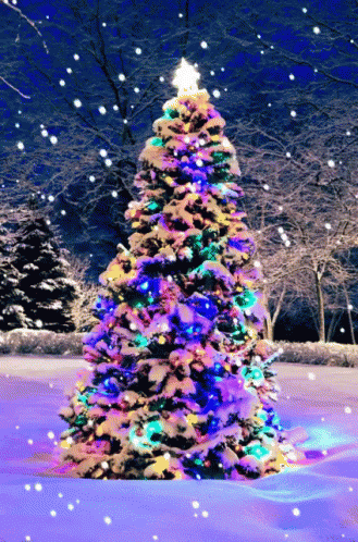 Christmas Snow GIF - Christmas Snow Winter GIFs
