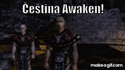 a video game character says cestina awaken