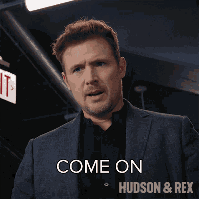 a man in a suit with the words come on hudson & rex below him