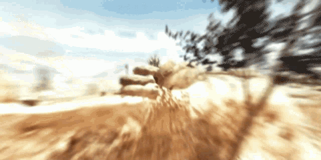 Sniper Camoflage GIF - Sniper Camoflage Perched GIFs