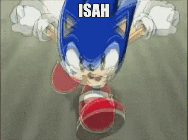 a picture of sonic the hedgehog with the name isah