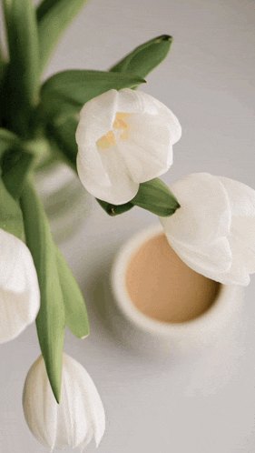 a cup of coffee sits next to a vase of white tulips