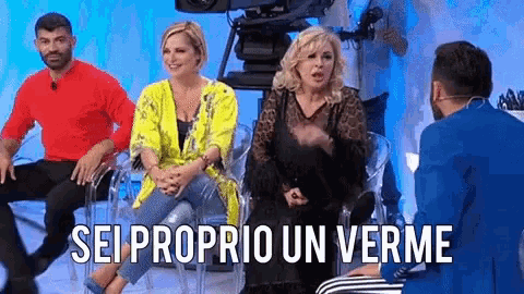 Sei Un Verme Tina Cipollari GIF
