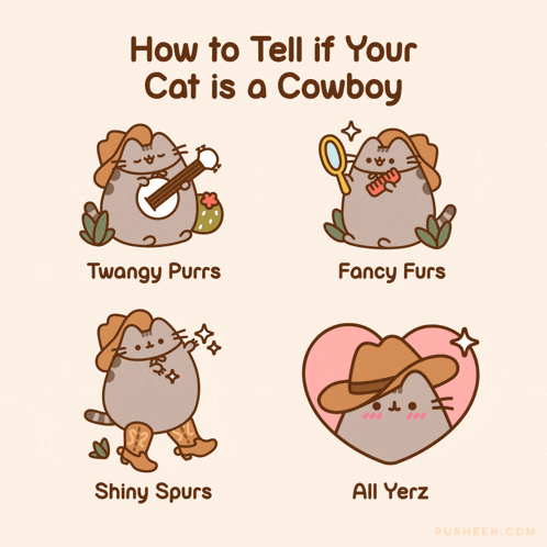 how to tell if your cat is a cowboy shiny spurs all yerz