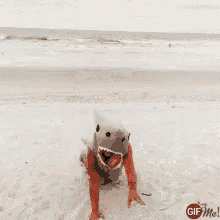 a person wearing a shark costume with their mouth wide open