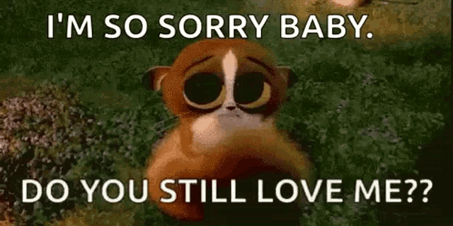 Sorry Love You GIF