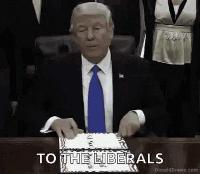 Trump Liberals GIF - Trump Liberals President GIFs
