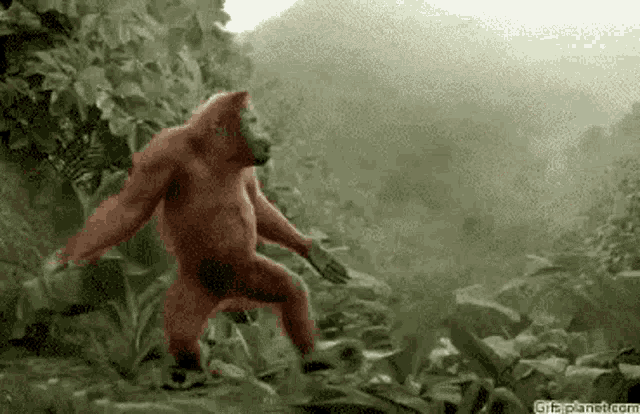 Gorilla Dance GIF - Gorilla Dance Monkey GIFs