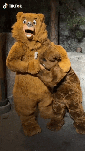 two teddy bears hugging each other with tiktok written on the bottom right