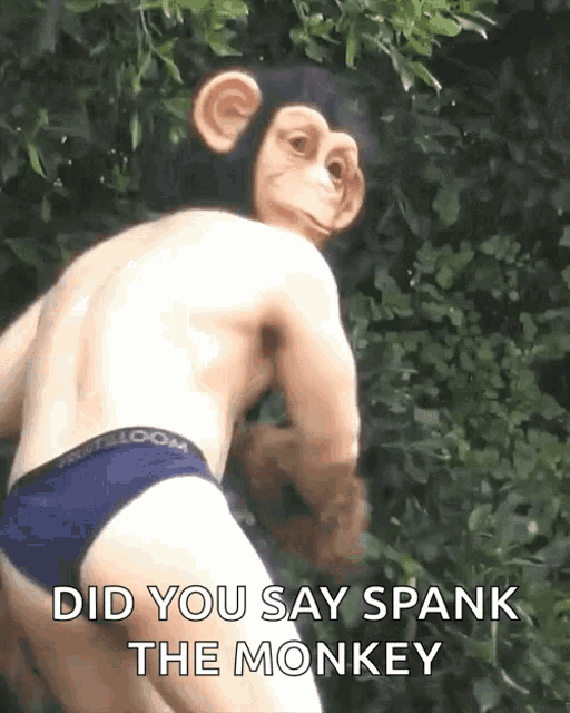 Spank The GIF - Spank The Monkey GIFs