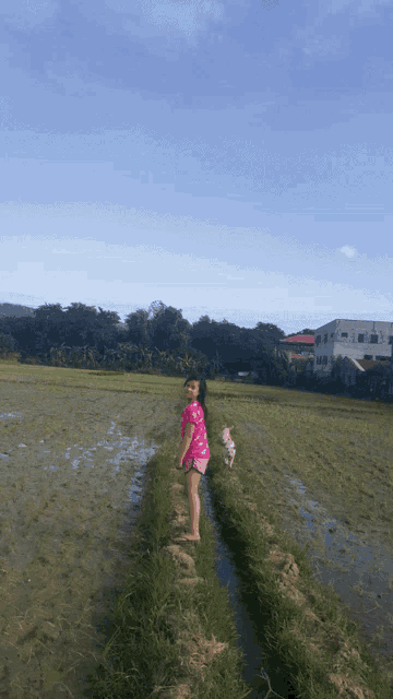 a little girl in a pink shirt is standing in a rice field