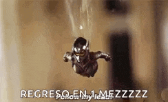 a wasp is flying through the air with a spider web behind it .