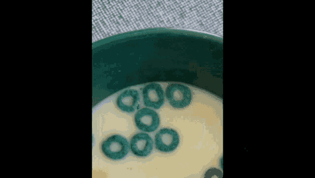 a close up of a bowl of cereal with blue rings in it