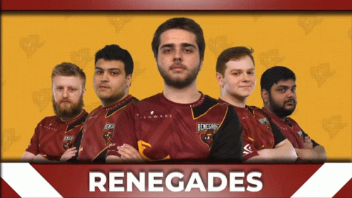 Renegades Team GIF - Renegades Team Pro Gamers GIFs