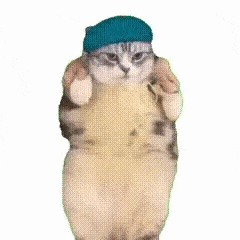 a cat wearing a blue hat is standing on its hind legs on a white background .