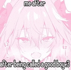 a pink anime girl with long hair is being called a good boy by someone .