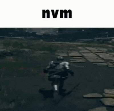 a screenshot of a video game with the word nvm on it