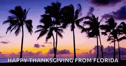 Beach Happy Thanksgiving From Florida GIF - Beach Happy Thanksgiving From Florida Thanksgiving GIFs