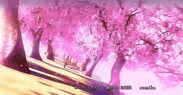 a person walking through a cherry blossom forest with sumika written on the bottom of the screen