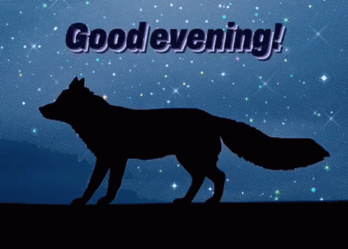 Fox Good GIF - Fox Good Evening GIFs
