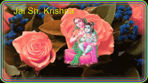 Jai Sh Krishna Flowers GIF - Jai Sh Krishna Flowers Rose GIFs