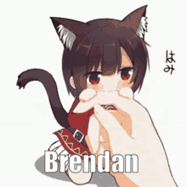 a person is petting a cat with the name brendan on the bottom