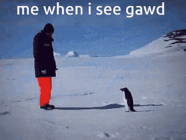 Me When I See Gawd Penguin Attack GIF - Me When I See Gawd Penguin Attack Funny GIFs