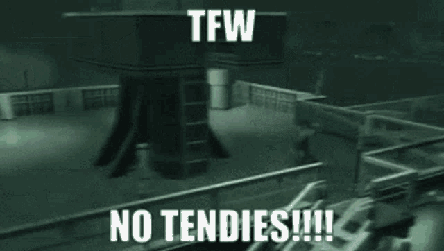 a screenshot of a video game with the words tfw no tendies !!!