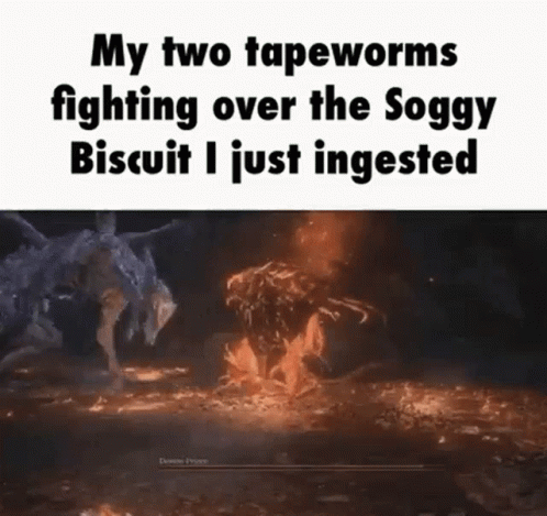 Tapeworms Soggy GIF - Tapeworms Tapeworm Soggy GIFs
