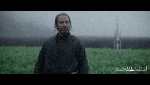 a man standing in a field with the word rogue on the bottom right