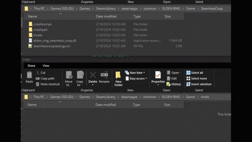 a screenshot of a computer 's file explorer showing a file named elden ring