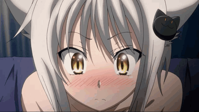 a girl with a cat ear and a black cat on her head