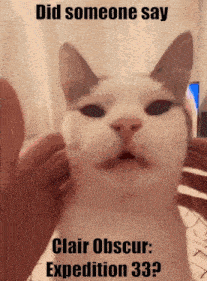 a picture of a cat with the words did someone say clair obscur expedition 33