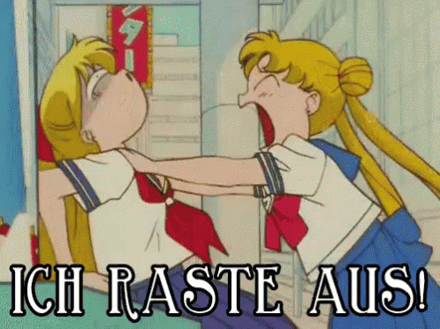 two girls are fighting with the words ich raste aus behind them