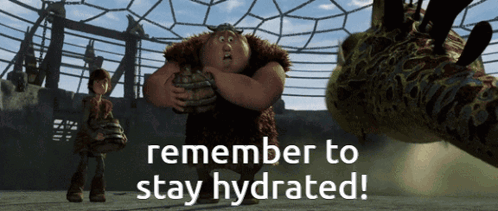 Httyd How To Train Your Dragon GIF - Httyd How To Train Your Dragon How To Train Your Dragon 1 GIFs