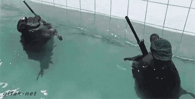 a hippopotamus is swimming in a pool with a spear in its mouth .