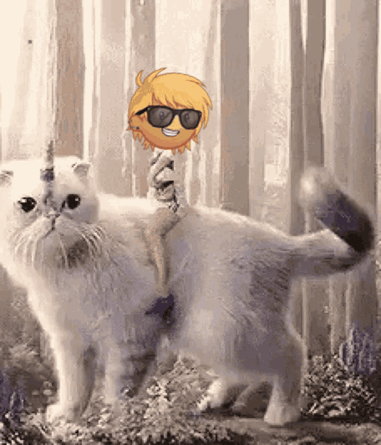 a white cat with a unicorn horn and sunglasses on its head
