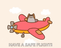 a cartoon cat is flying in an airplane with the words `` have a safe flight '' written below it .
