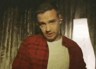 a man in a red plaid shirt and white t-shirt is standing in front of a lamp .