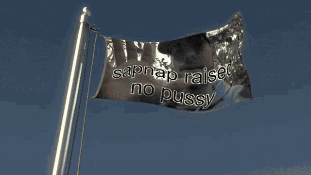 a flag with a picture of a man and the words sapnap raised no pussy