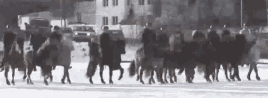 a group of people are walking down a snowy street .
