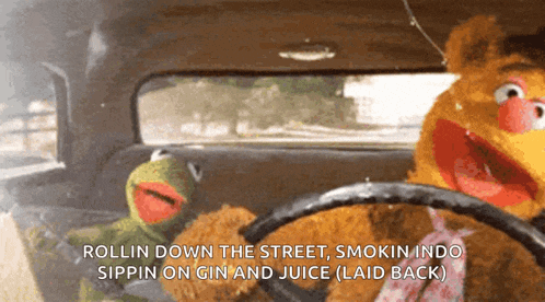 kermit the frog and mr. fozzie bear are driving a car and singing