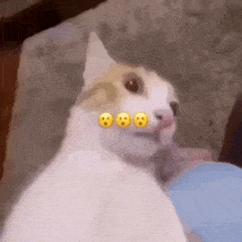 a white and brown cat is sitting on a couch with emojis on its face .