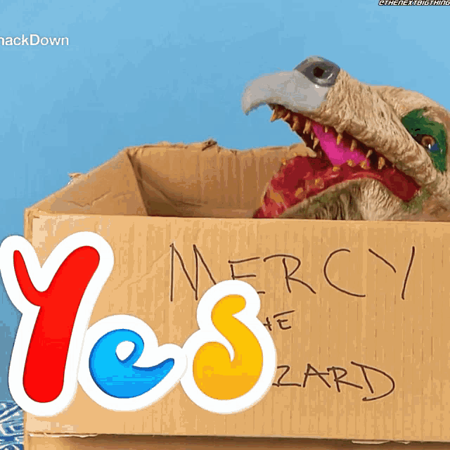 a cardboard box with mercy written on the side