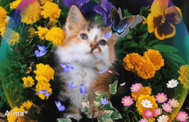 a kitten is surrounded by flowers and butterflies with the word alma on the bottom