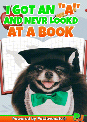 a picture of a dog wearing a graduation cap and bow tie says i got an " a "