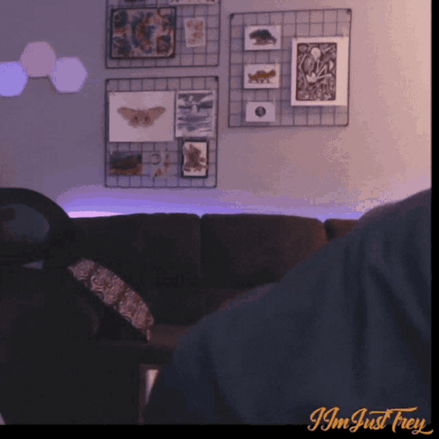 a picture of a living room with the words i 'm just frey at the top